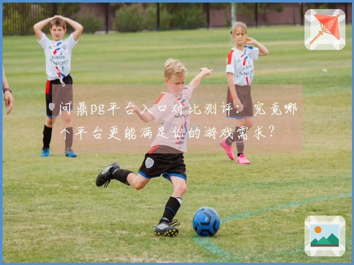 问鼎pg平台入口对比测评：究竟哪个平台更能满足你的游戏需求？