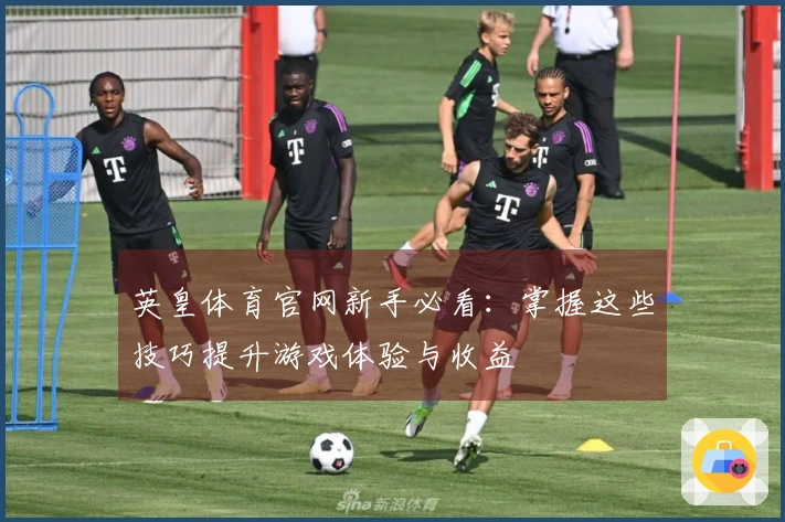 英皇体育官网新手必看：掌握这些技巧提升游戏体验与收益