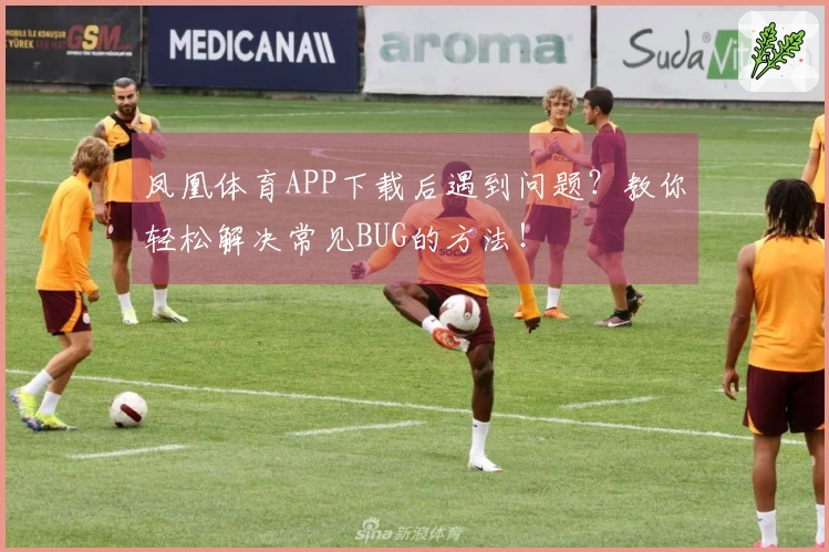 凤凰体育APP下载后遇到问题？教你轻松解决常见BUG的方法！