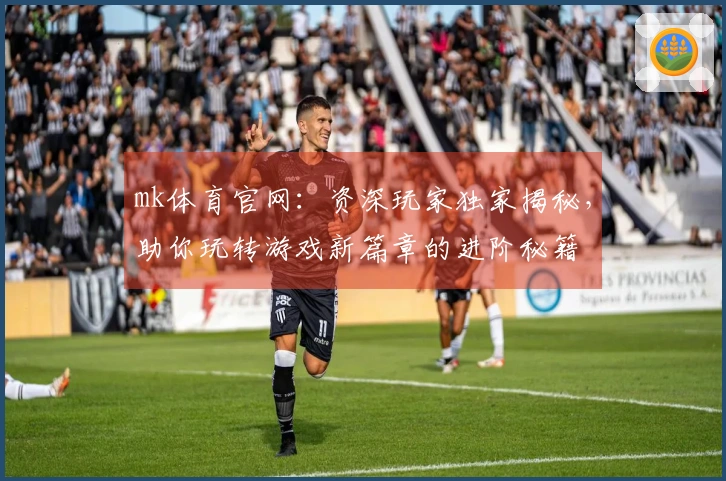 mk体育官网：资深玩家独家揭秘，助你玩转游戏新篇章的进阶秘籍